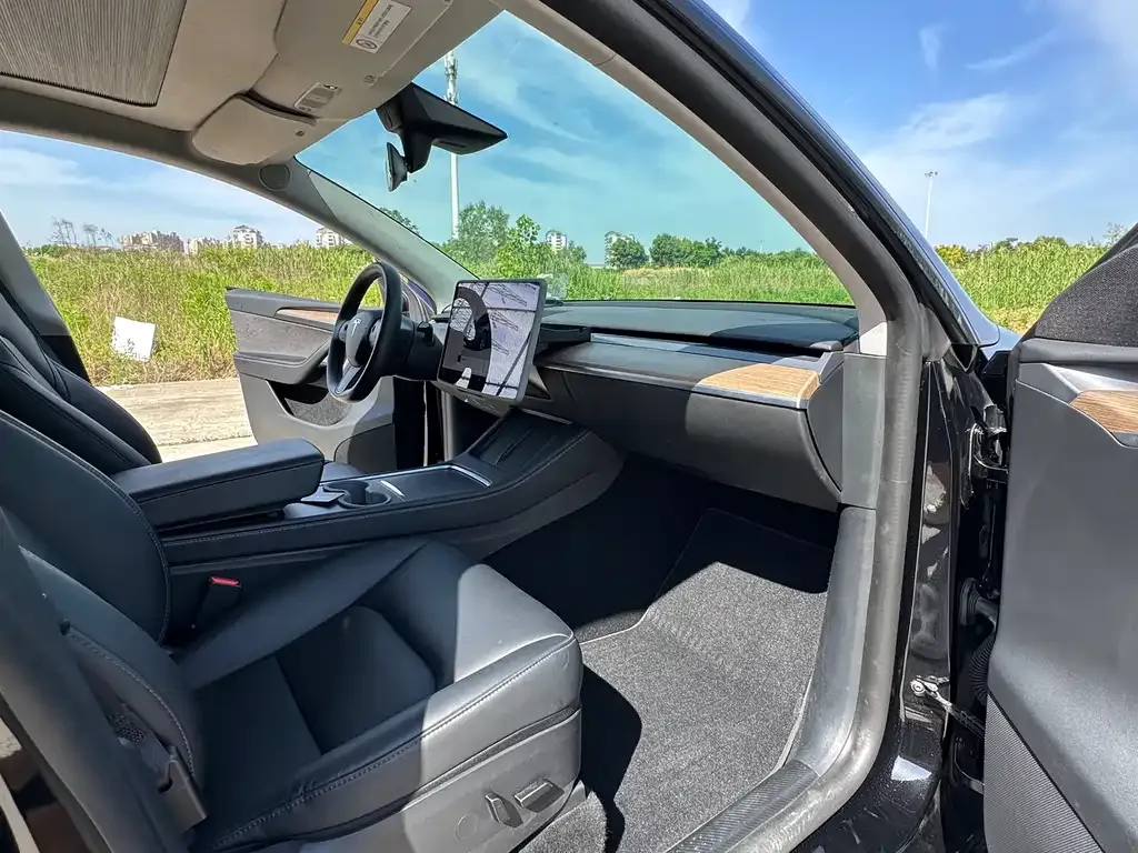 Tesla Model Y — фото 10