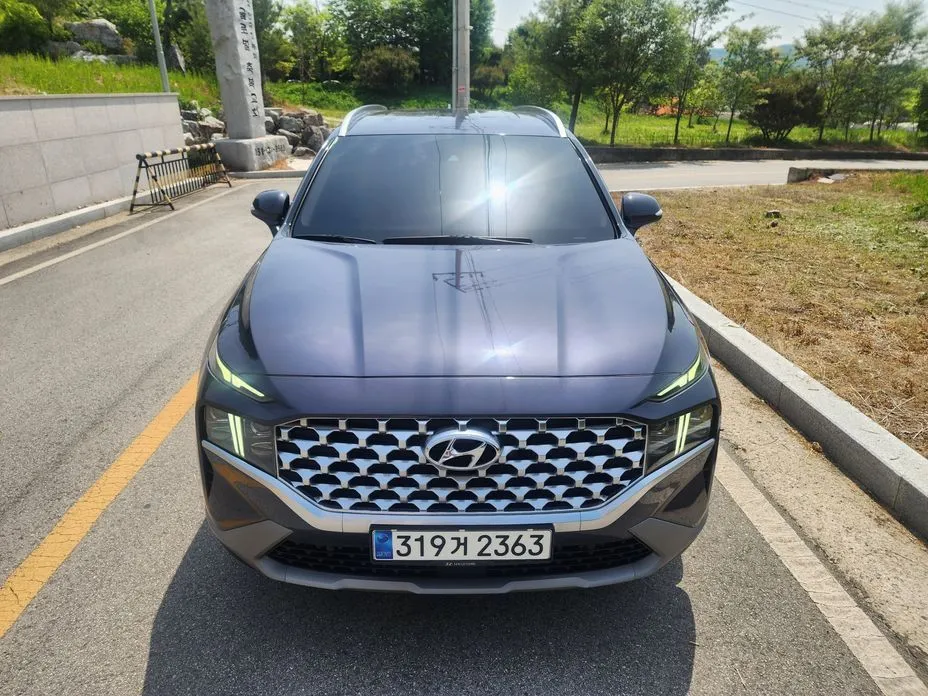 Hyundai Santafe — фото 6