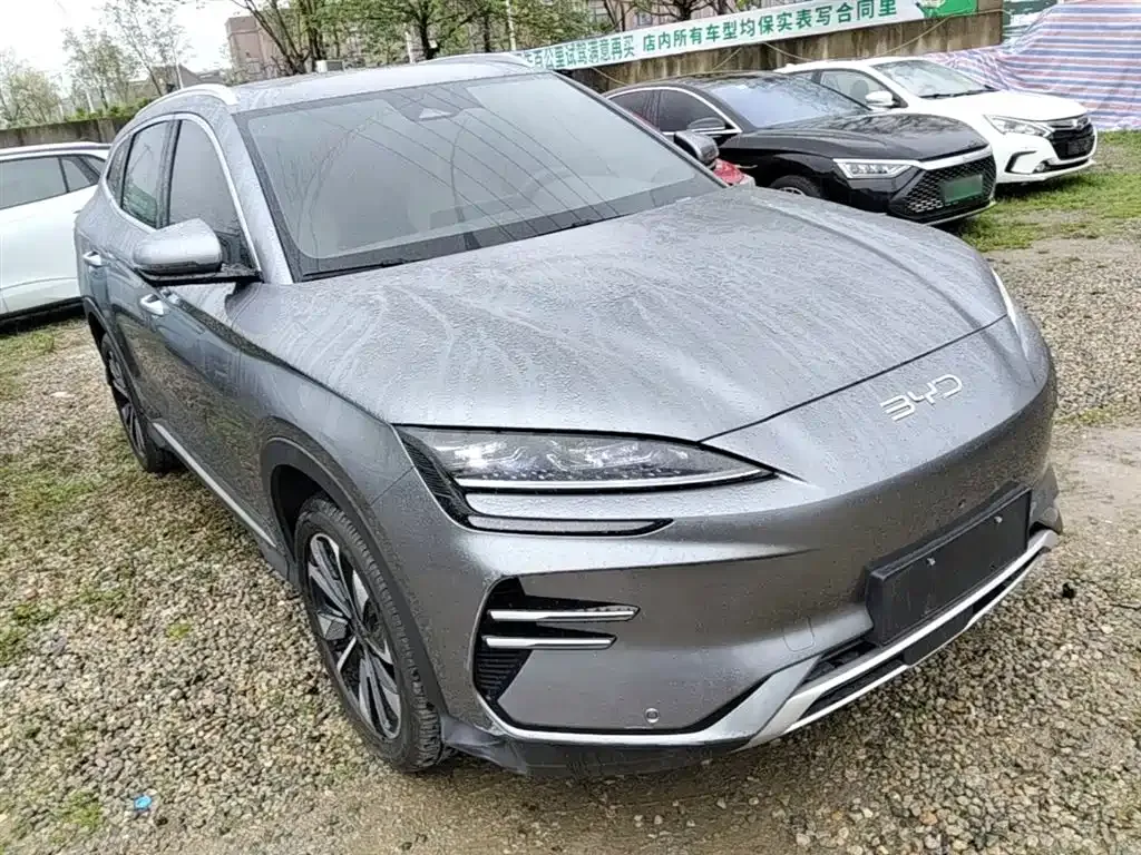 BYD PLUS New Energy — фото 10