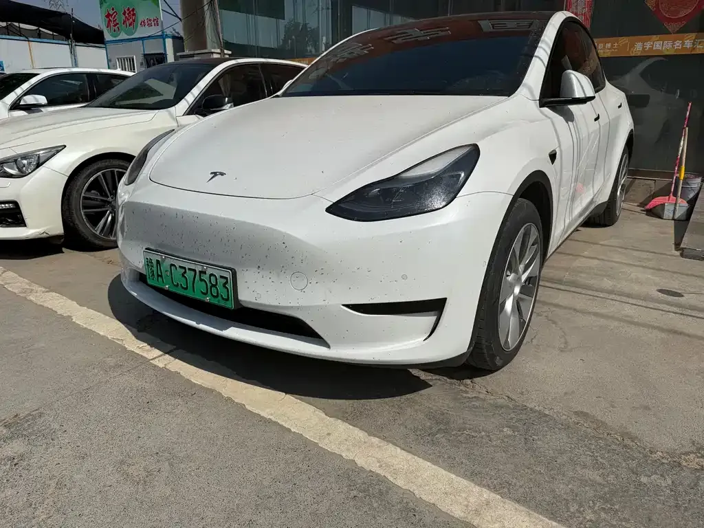 Tesla Model Y — фото 1