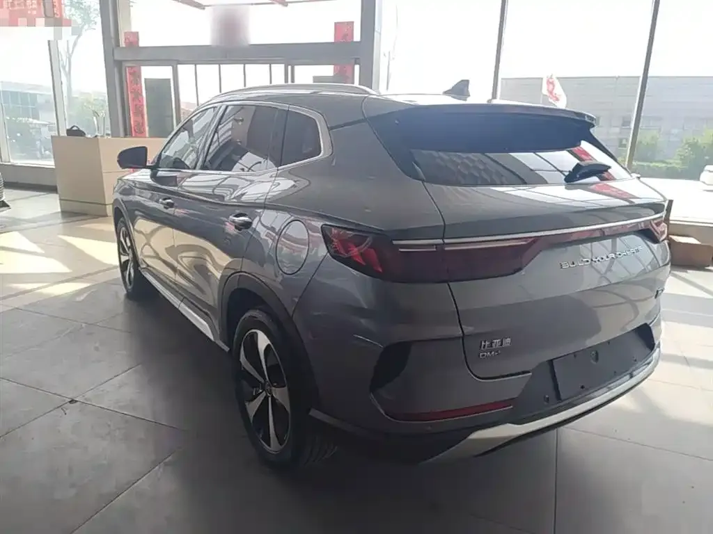 BYD PLUS New Energy — фото 4