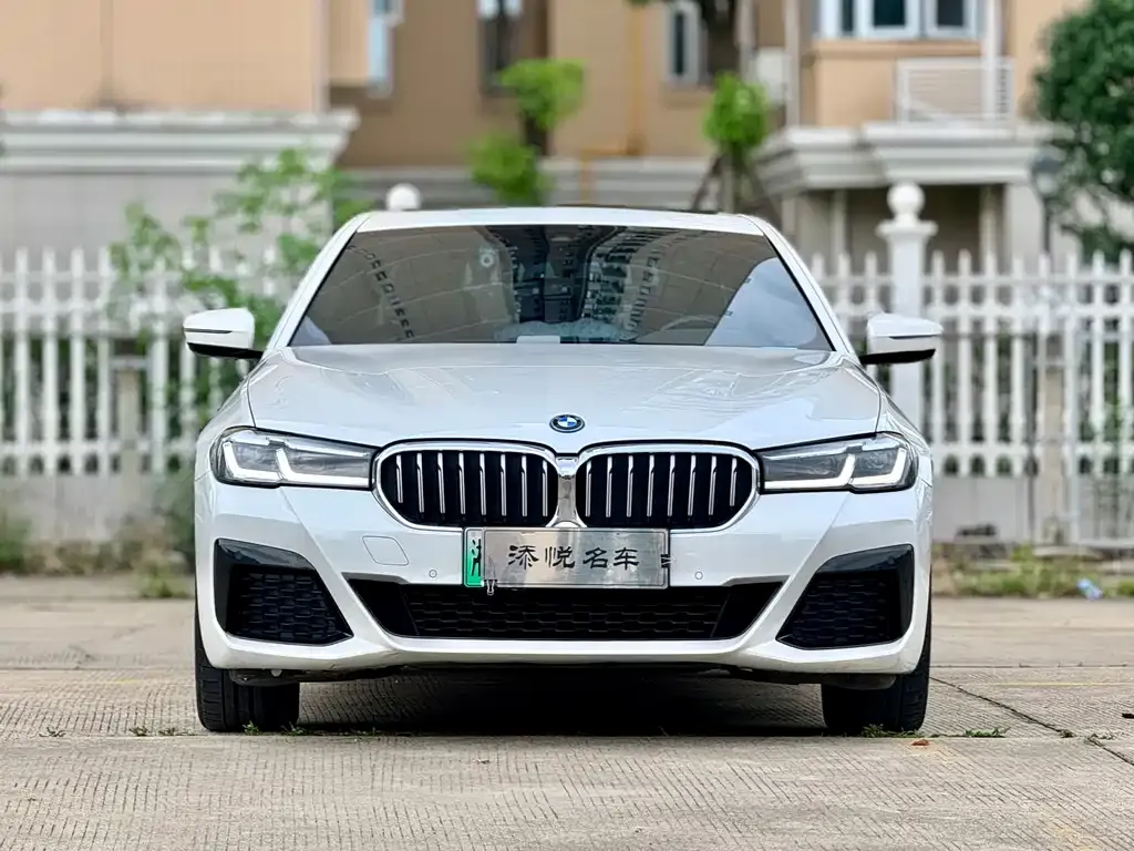 BMW 5 Series New Energy — фото 1