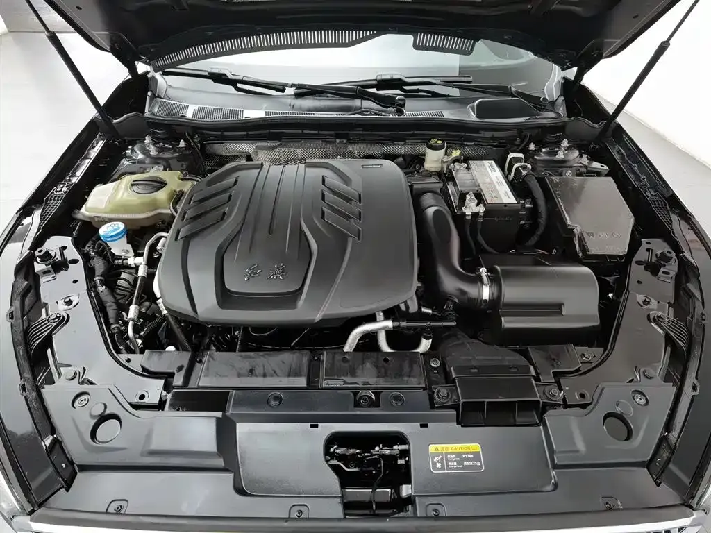 Hongqi H5 2023 из CN, фото 9
