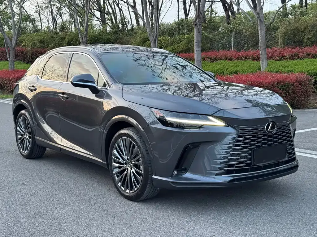 Lexus RX — фото 9