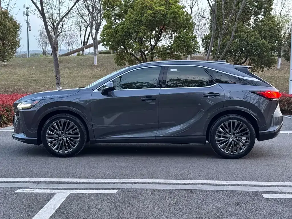 Lexus RX — фото 10
