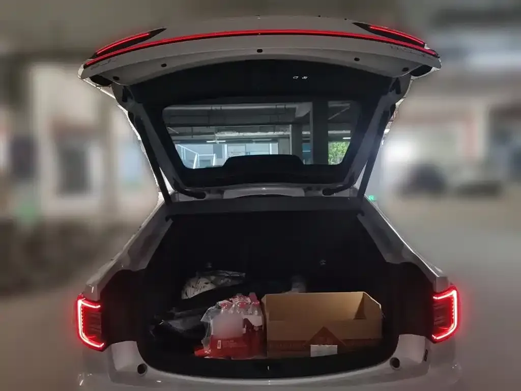 Polestar Polestar 2 2021 из CN, фото 7