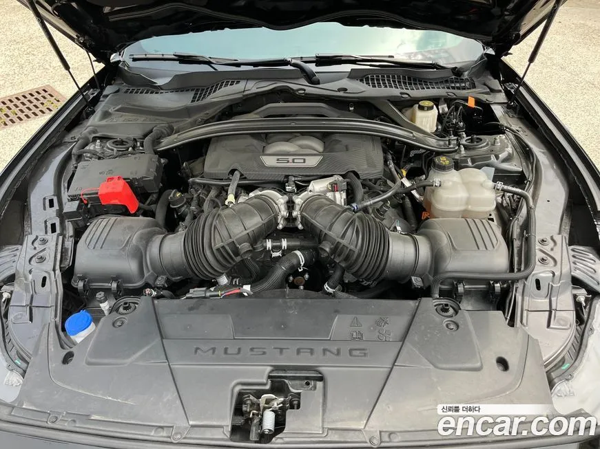 Ford Mustang 2024 из KR, фото 4