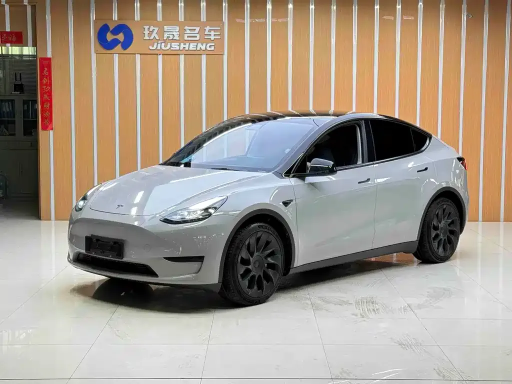 Tesla Model Y — фото 1