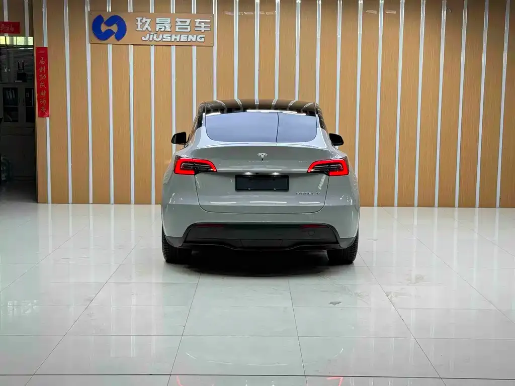 Tesla Model Y — фото 2