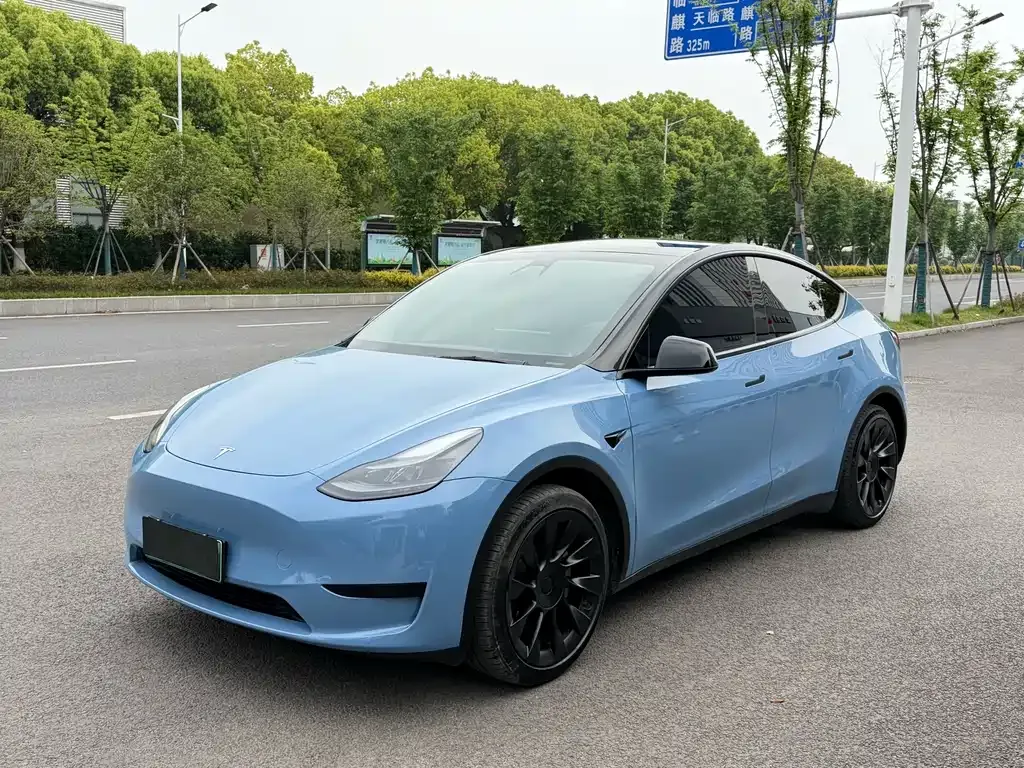 Tesla Model Y — фото 1