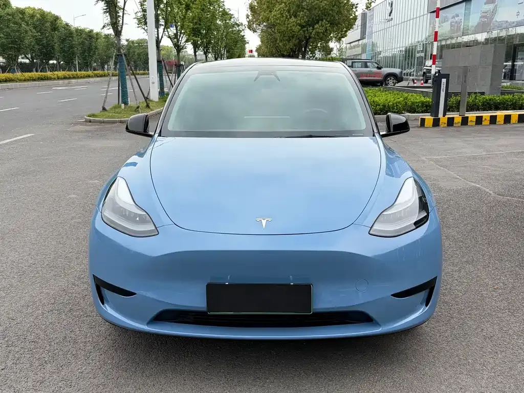 Tesla Model Y — фото 6