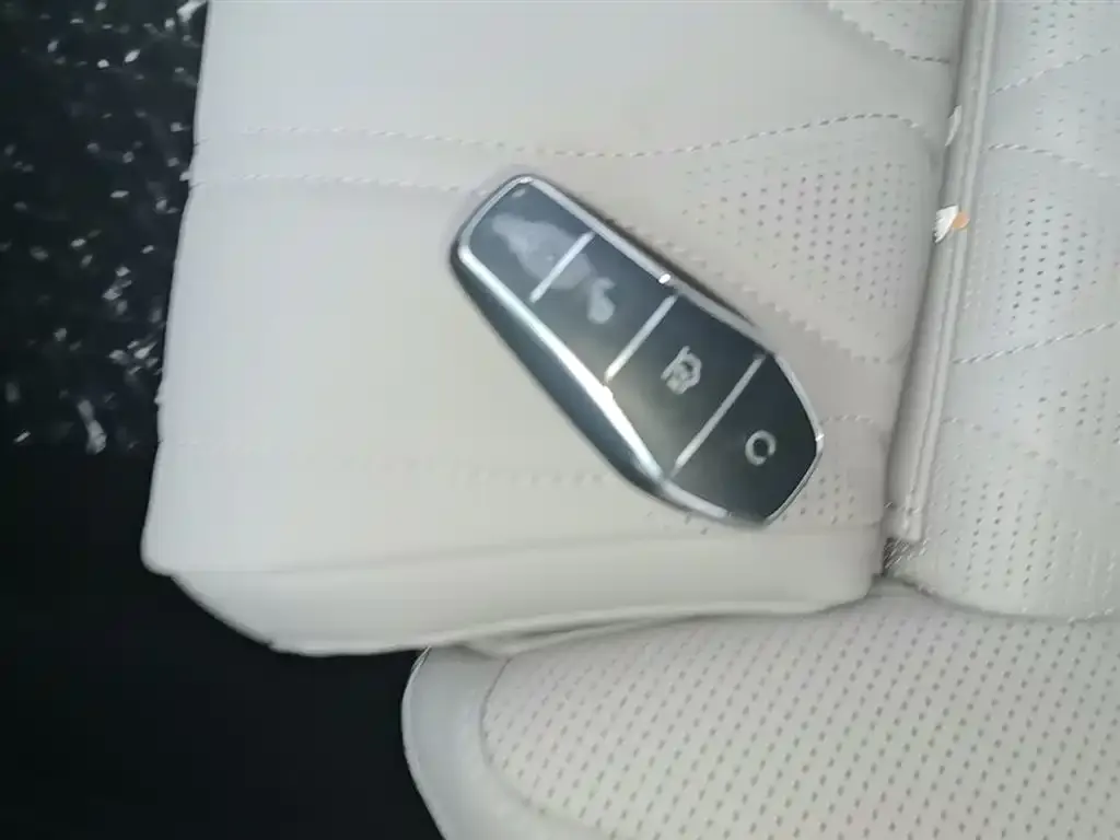 BYD Tang New Energy 2025 из CN, фото 7