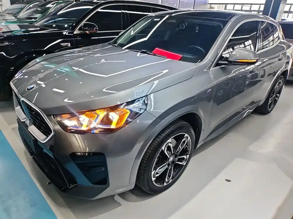 BMW X2 (Import) — фото 1