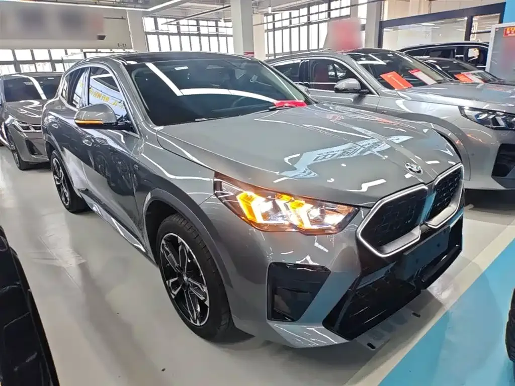 BMW X2 (Import) — фото 8