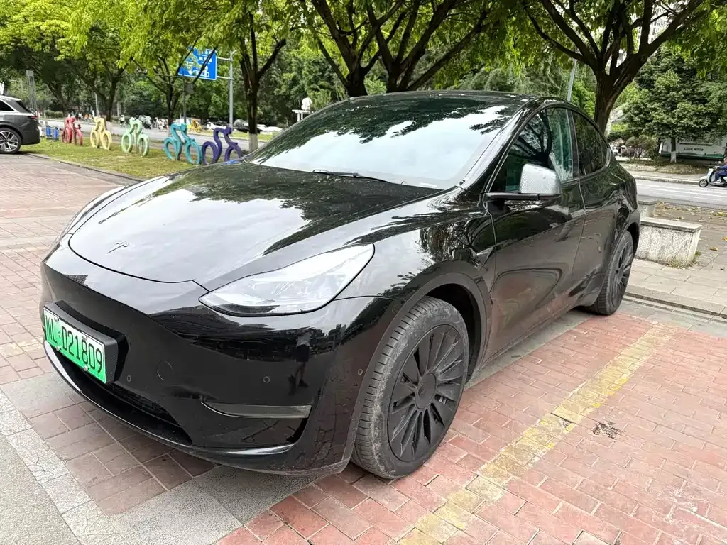 Tesla Model Y — фото 1