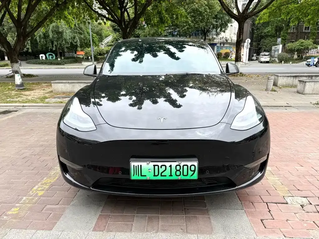 Tesla Model Y — фото 6