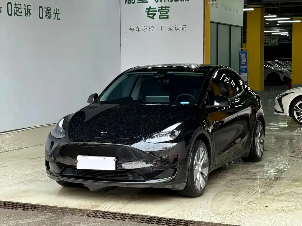 Tesla Model Y — фото 1