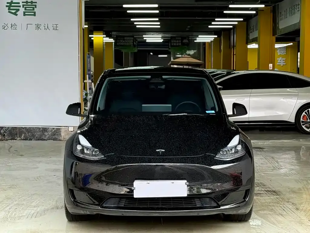 Tesla Model Y — фото 4