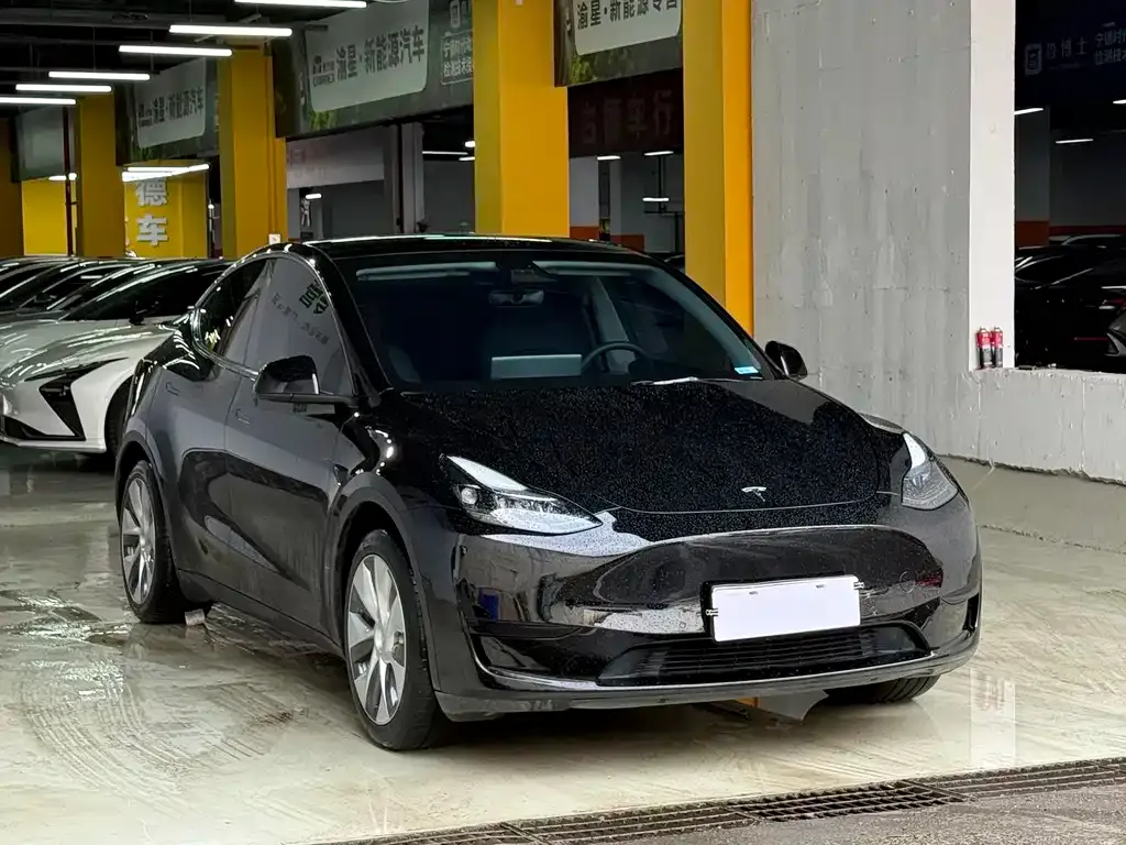 Tesla Model Y — фото 8