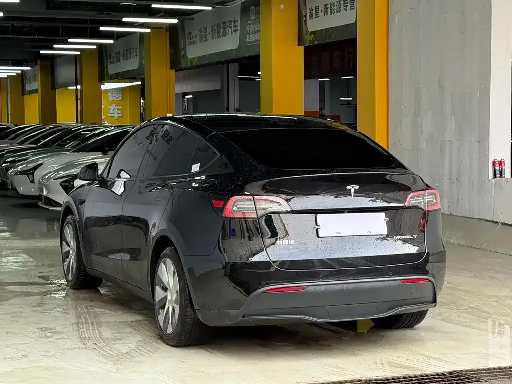 Tesla Model Y — фото 3