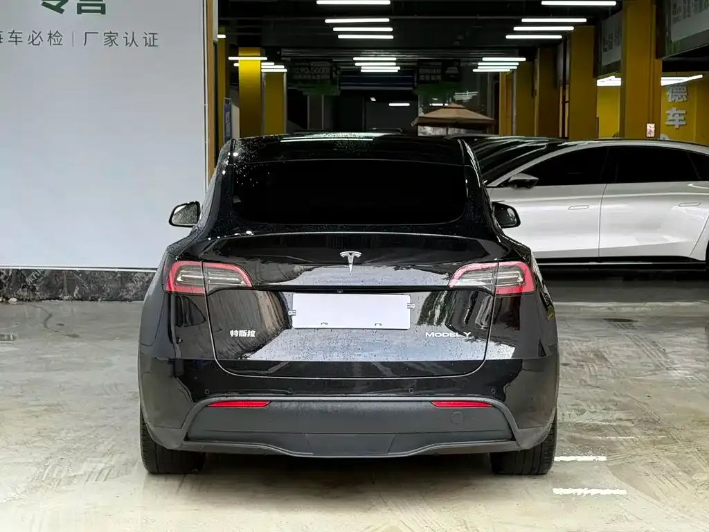 Tesla Model Y — фото 5