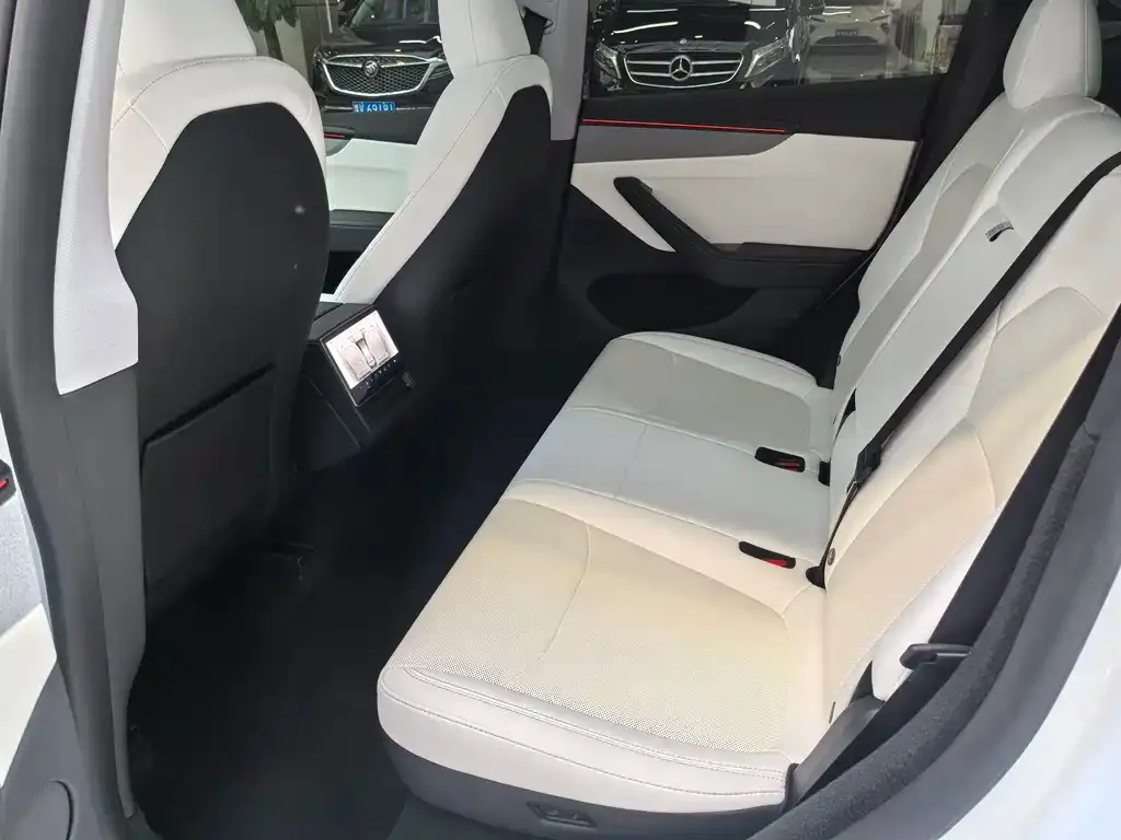 Tesla Model Y 2025 из CN, фото 2