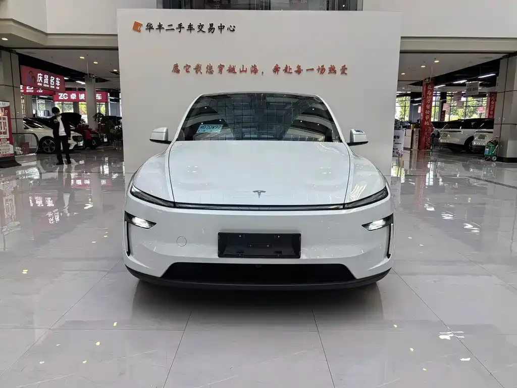 Tesla Model Y 2025 из CN, фото 8