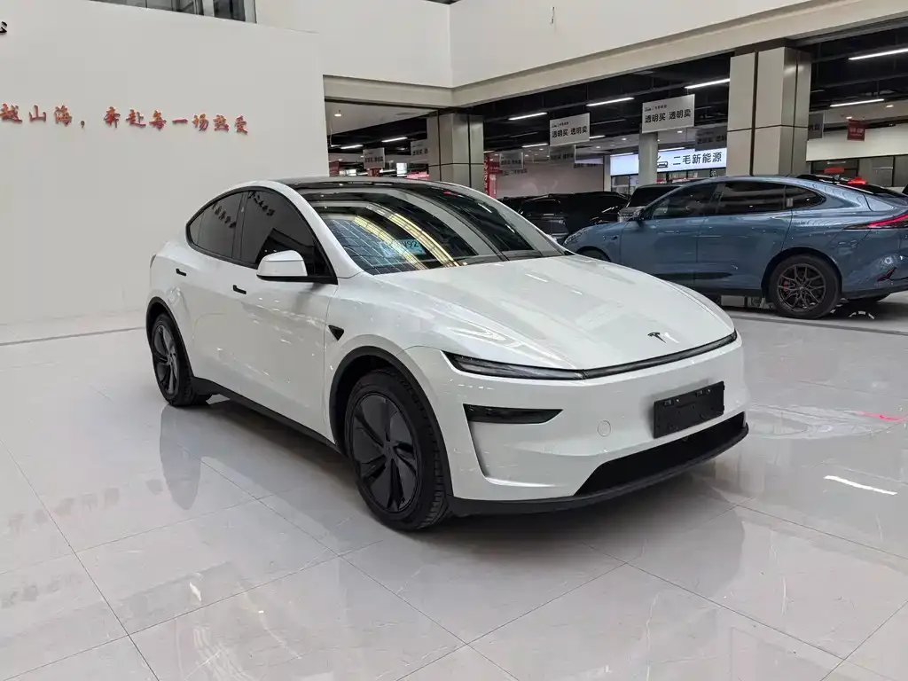 Tesla Model Y 2025 из CN, фото 6