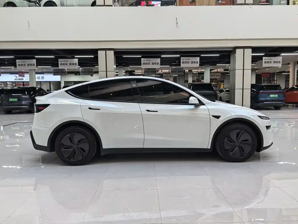 Tesla Model Y 2025 из CN, фото 10
