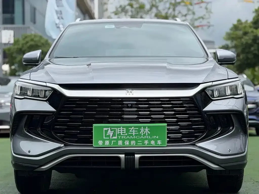 BYD Pro New Energy — фото 9
