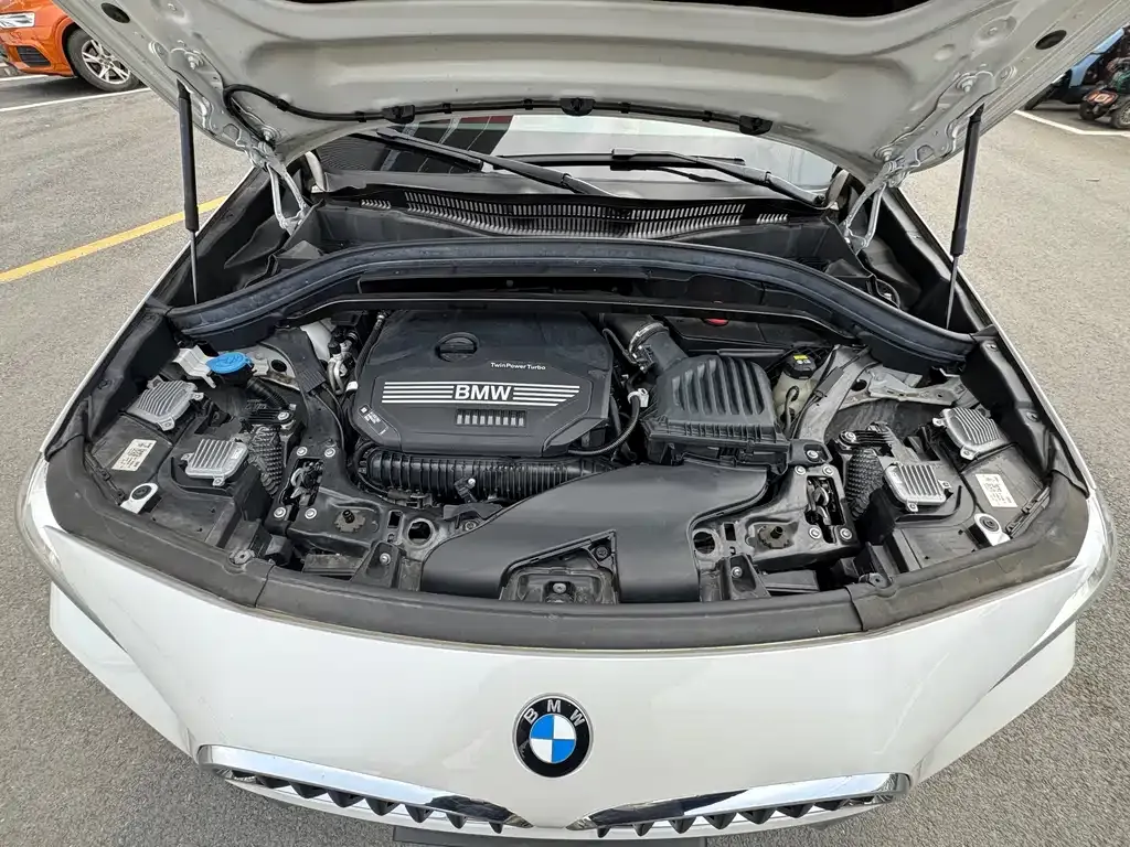 BMW X2 2021 из CN, фото 6