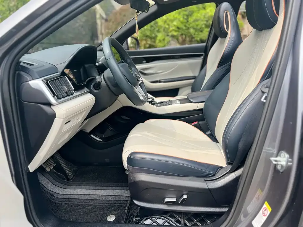BYD PLUS New Energy 2022 из CN, фото 3