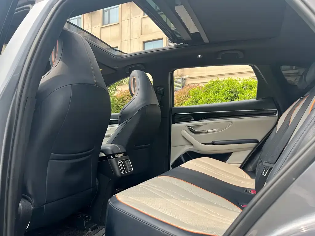 BYD PLUS New Energy 2022 из CN, фото 5