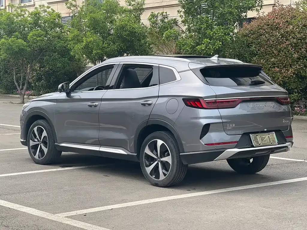 BYD PLUS New Energy 2022 из CN, фото 10