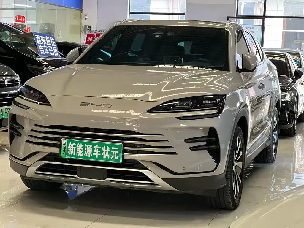 BYD PLUS New Energy — фото 1