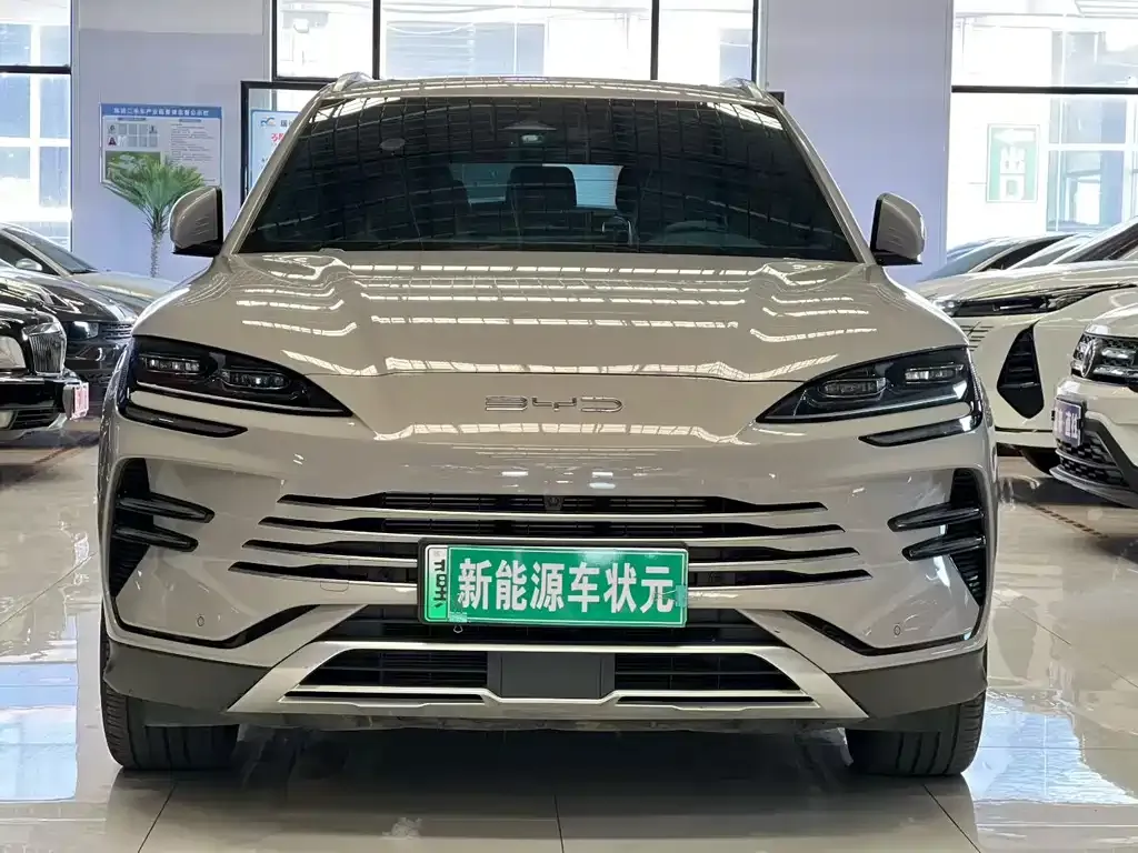 BYD PLUS New Energy — фото 7