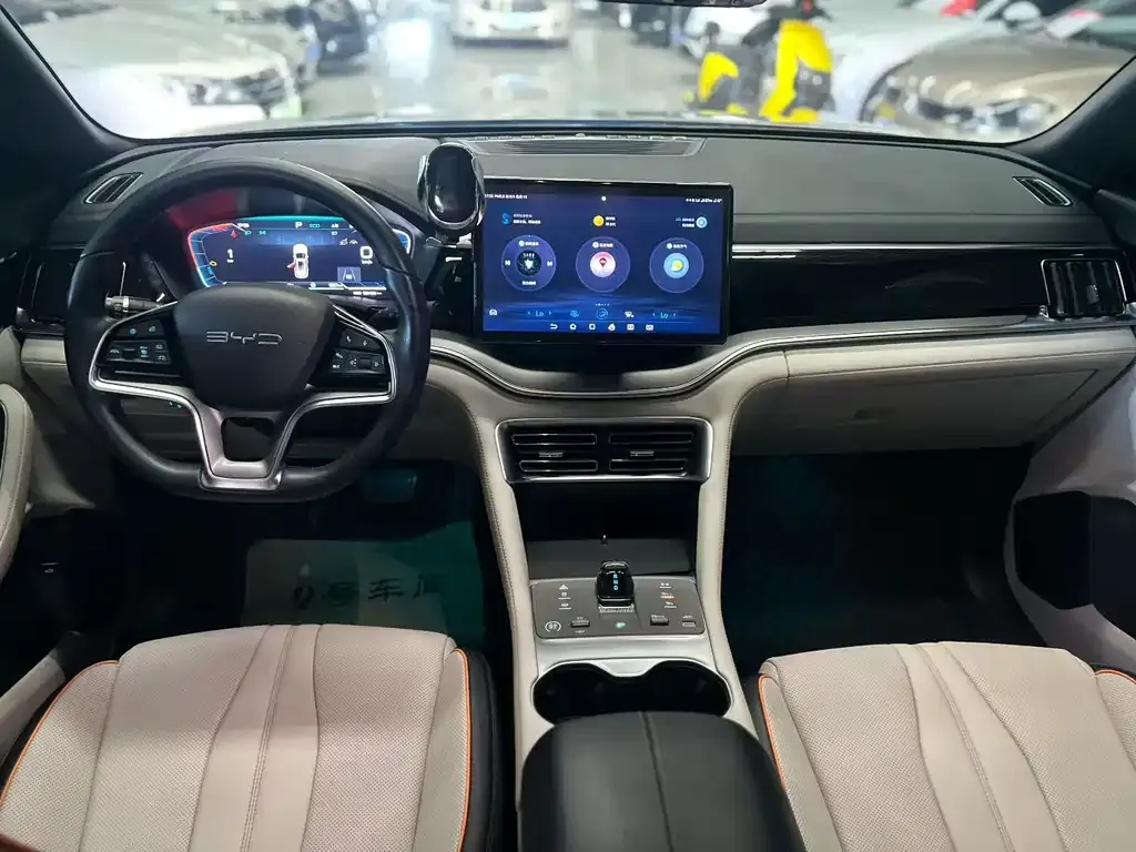 BYD PLUS New Energy — фото 4