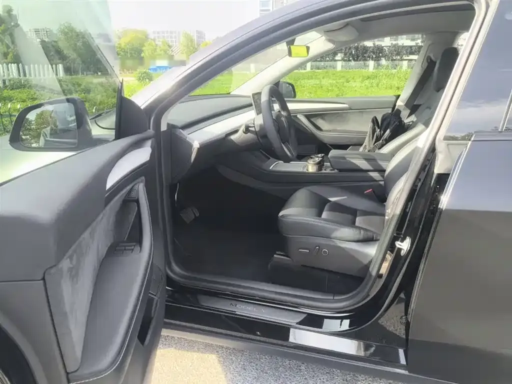 Tesla Model Y — фото 10