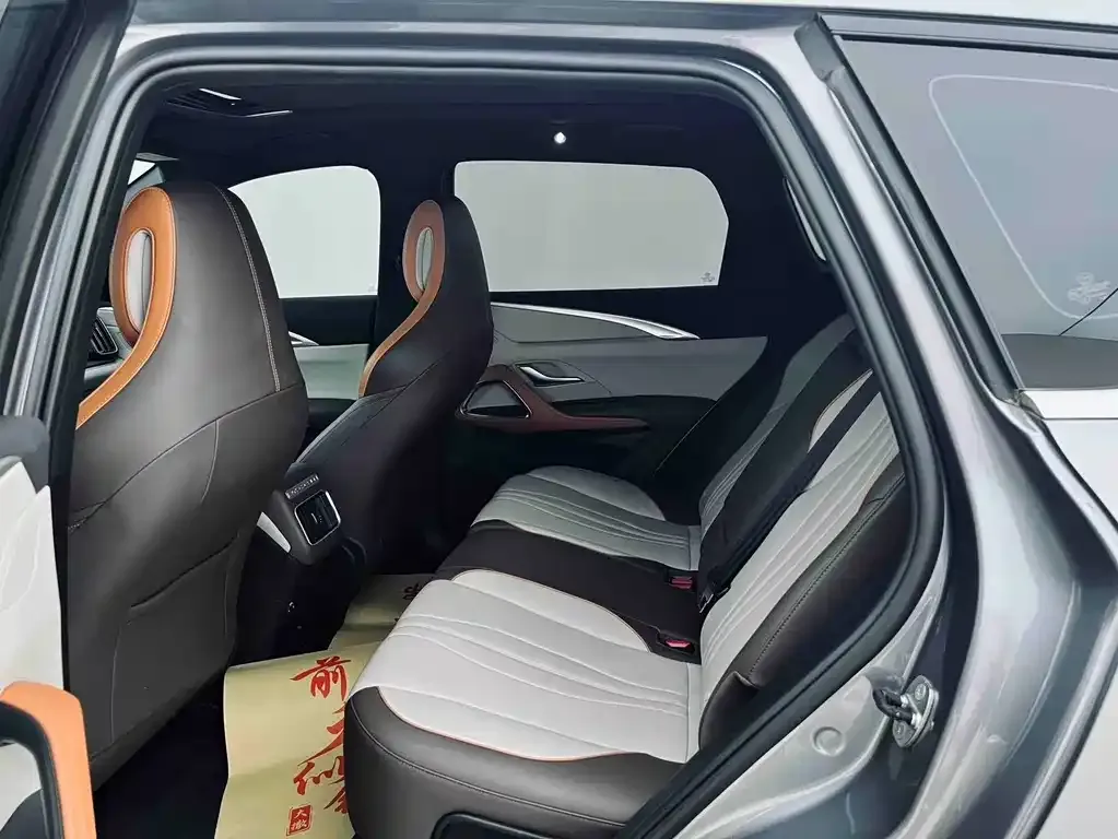 BYD Pro New Energy — фото 9