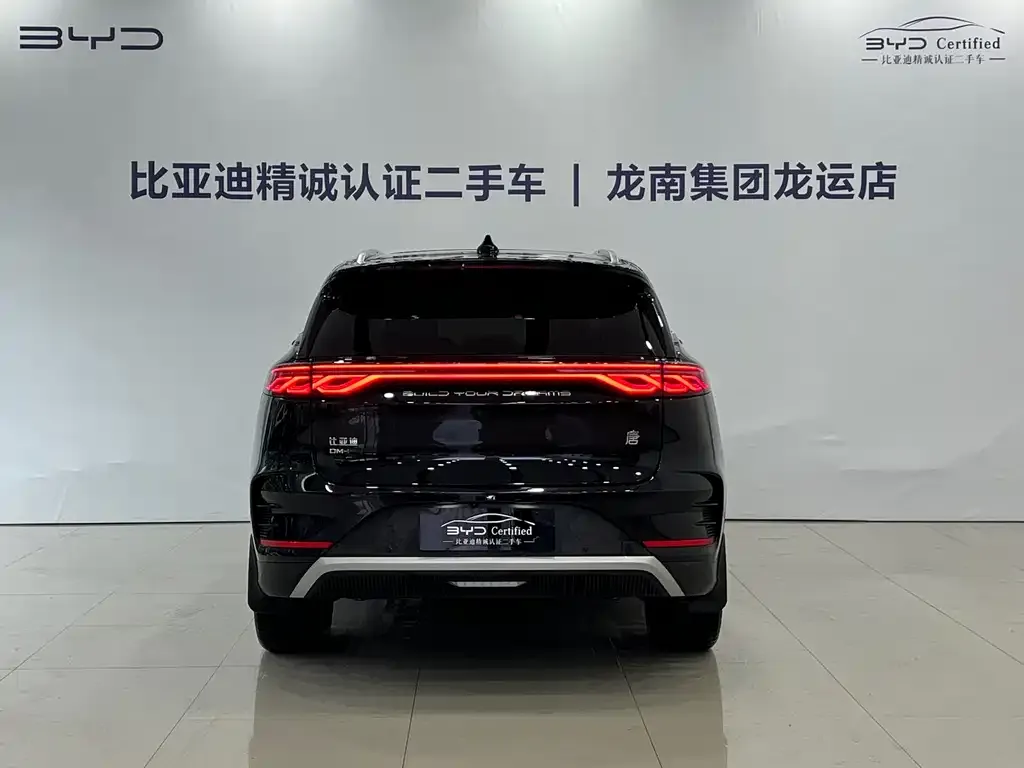 BYD Tang New Energy — фото 3