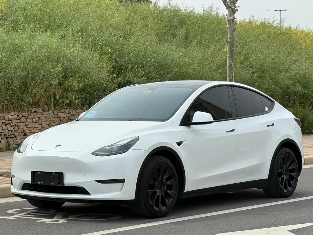 Tesla Model Y — фото 1