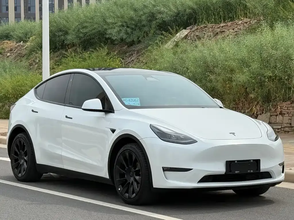Tesla Model Y — фото 8