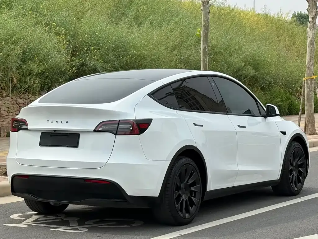 Tesla Model Y — фото 9