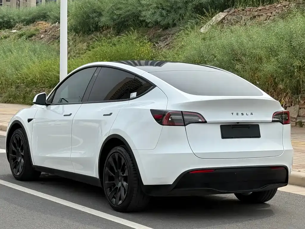 Tesla Model Y — фото 6