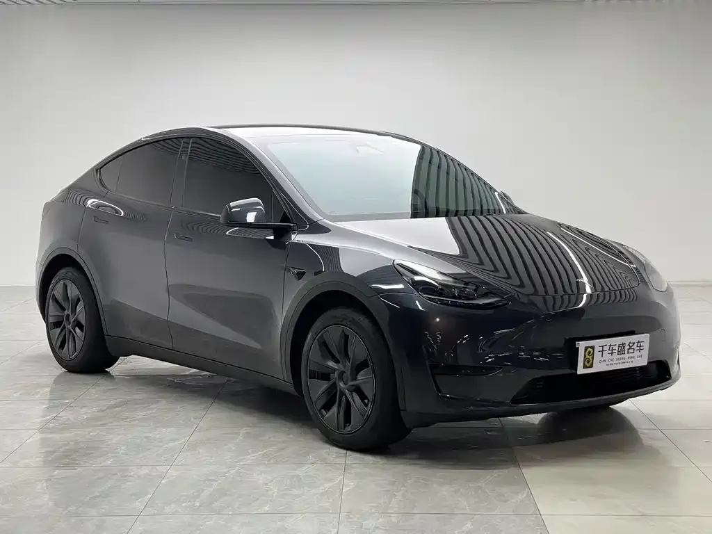 Tesla Model Y — фото 9