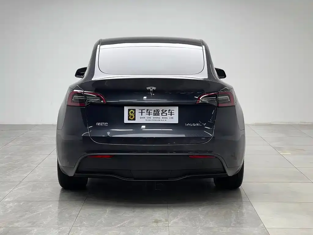 Tesla Model Y — фото 2