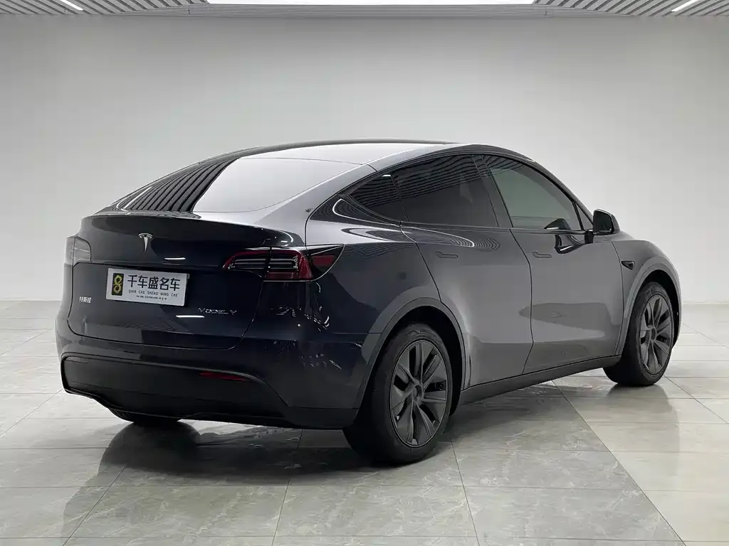 Tesla Model Y — фото 5