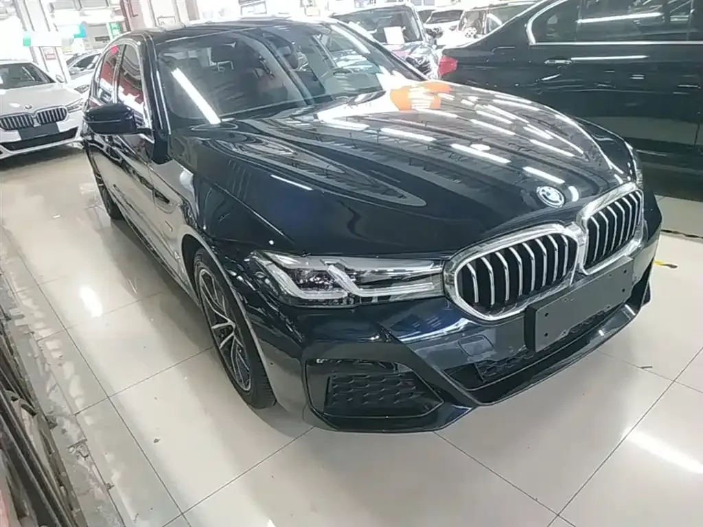 BMW 5 Series New Energy — фото 4