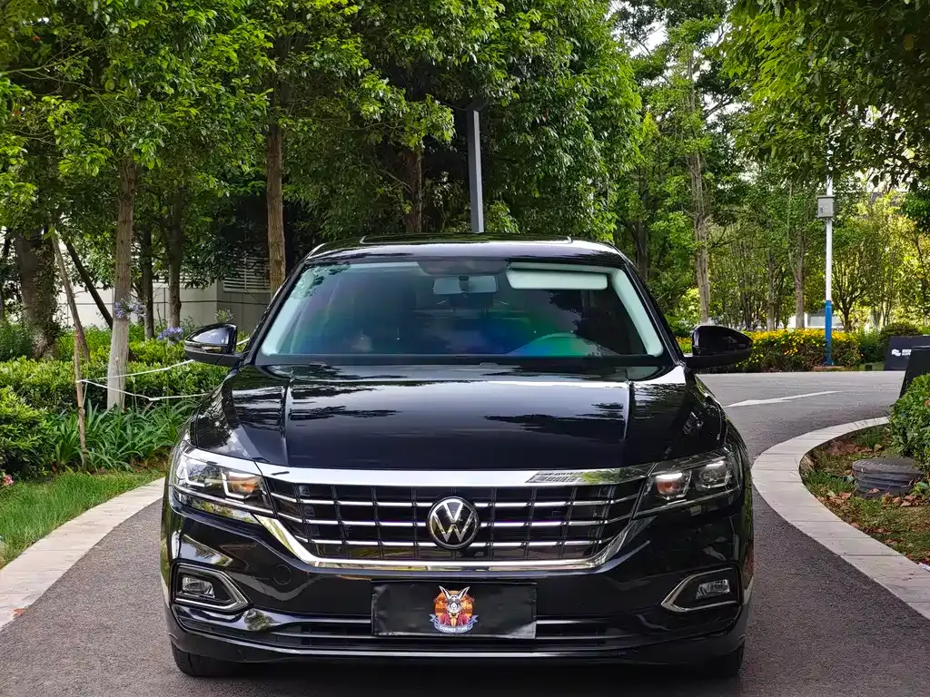 Volkswagen Passat — фото 9
