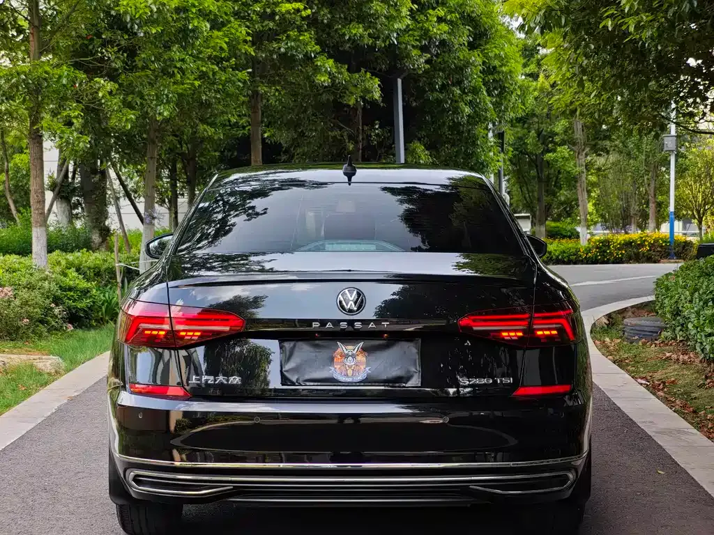 Volkswagen Passat — фото 6